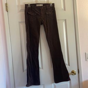 Ilin Velour Brown Bootcut Pants